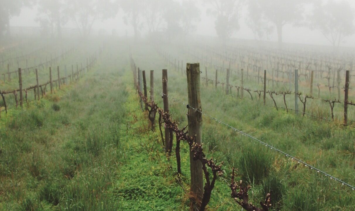 Photo of Outdoor in Blewitt Springs