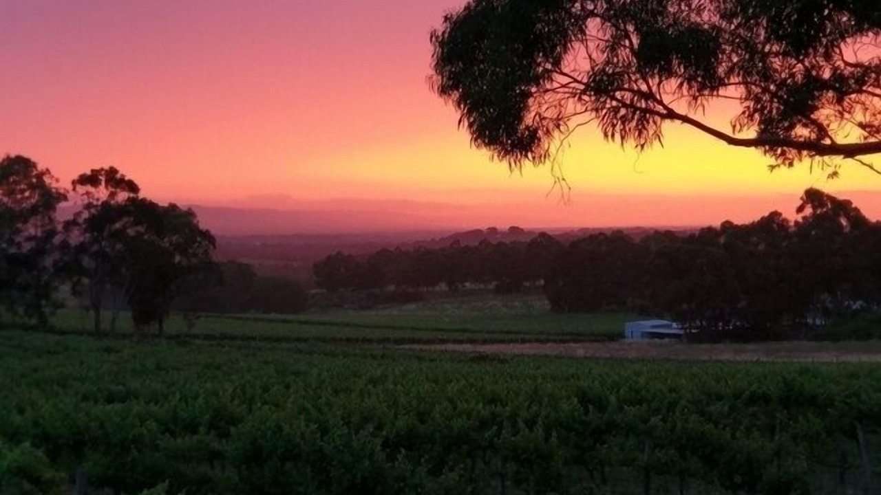 Photo of Outdoor in Blewitt Springs