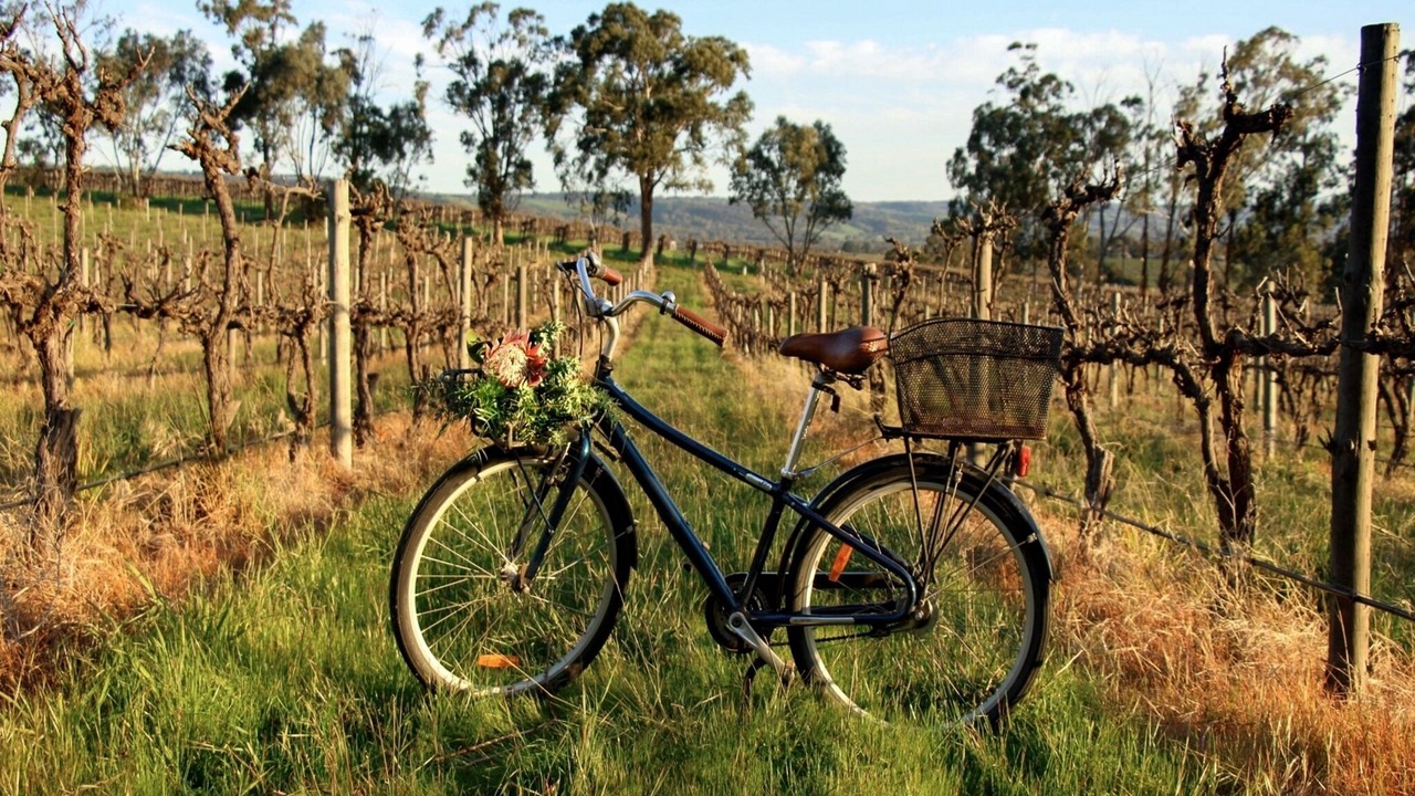 Photo of Others in Blewitt Springs
