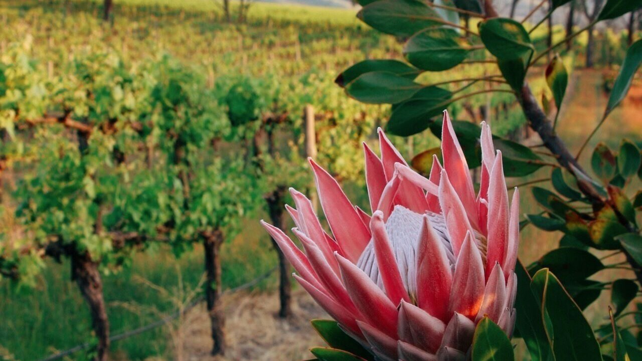 Photo of Outdoor in Blewitt Springs