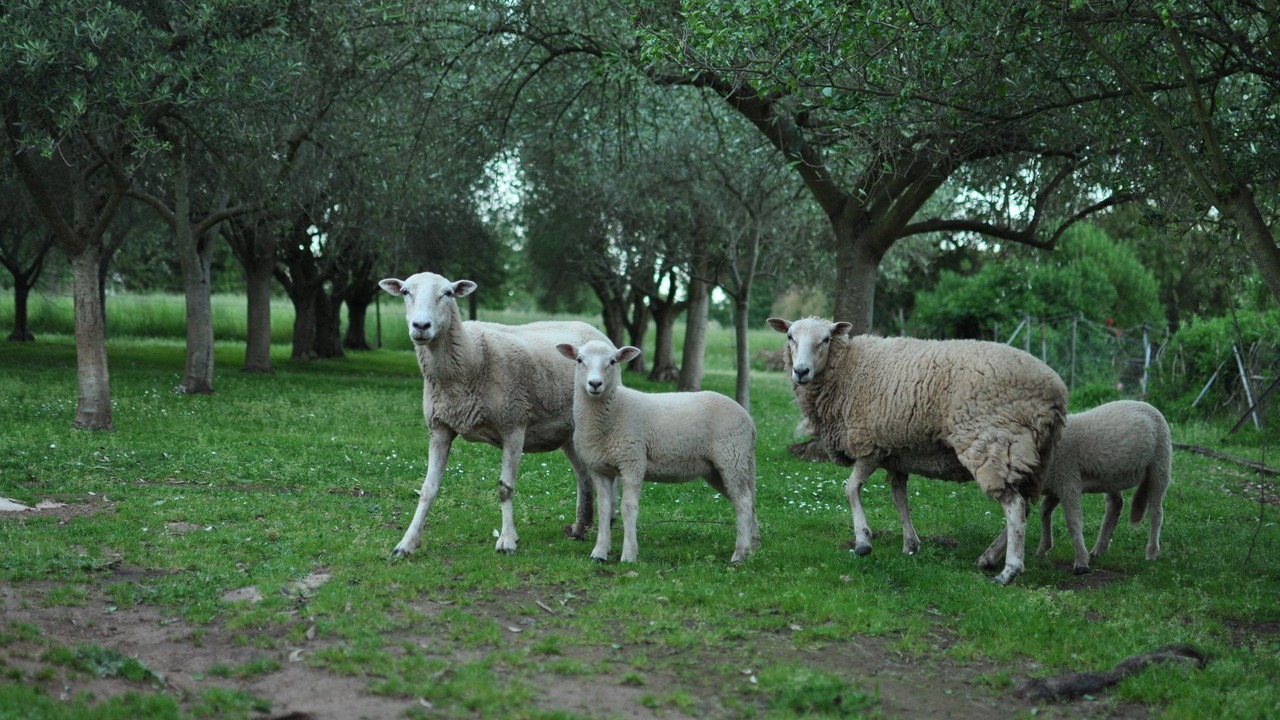 Photo of Outdoor in Drouin