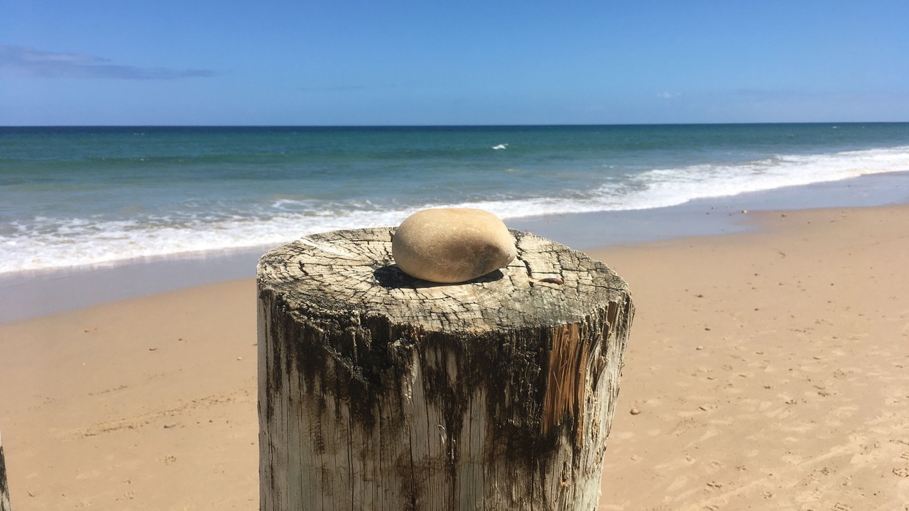 Photo of Others in Moana