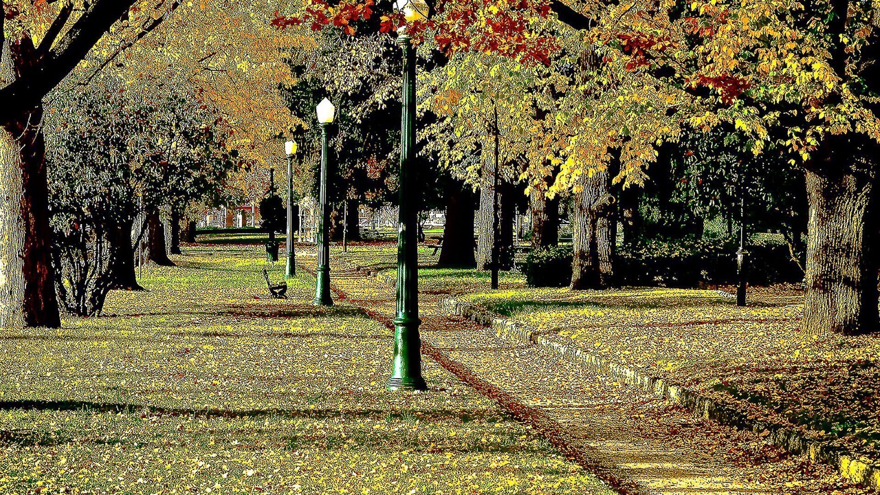 Photo of Outdoor in Bathurst