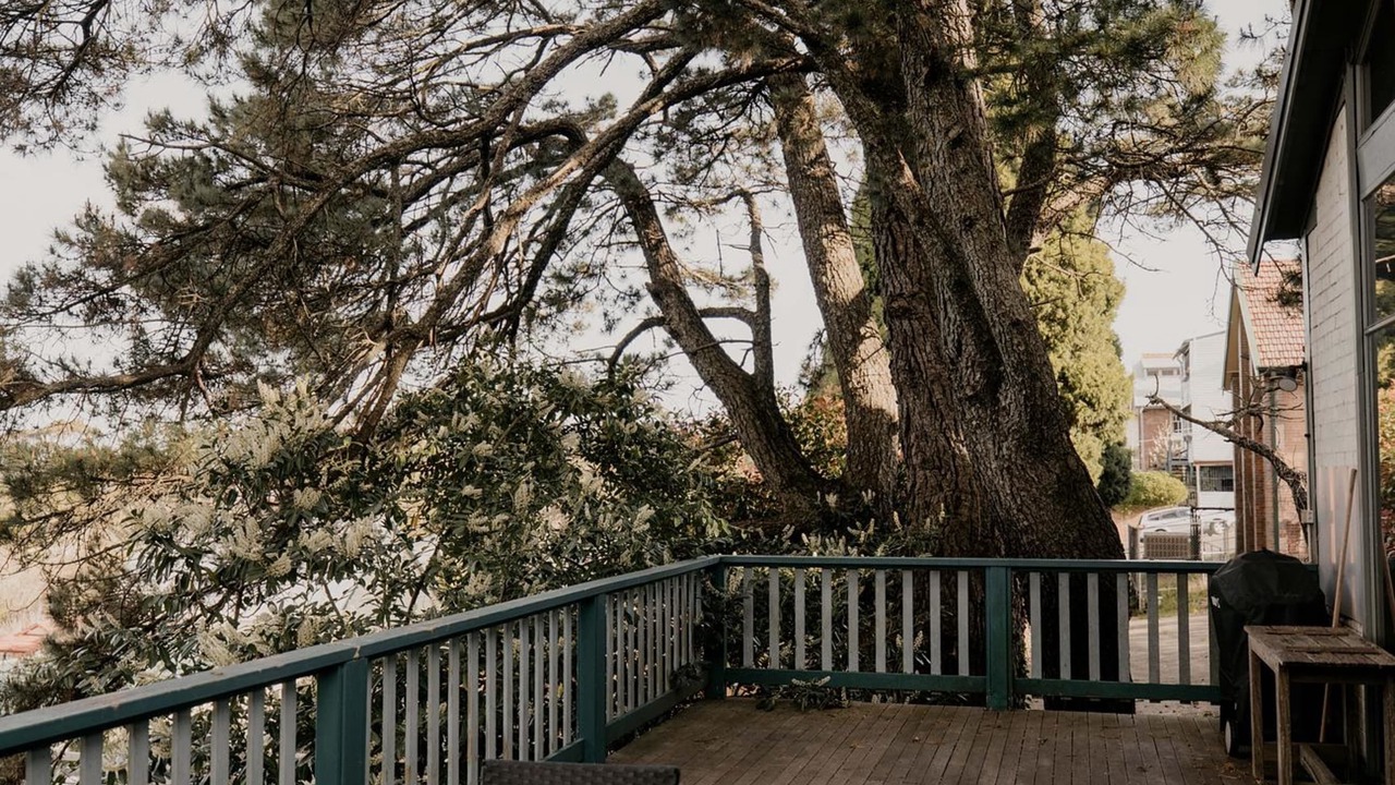 Photo of Others in Katoomba