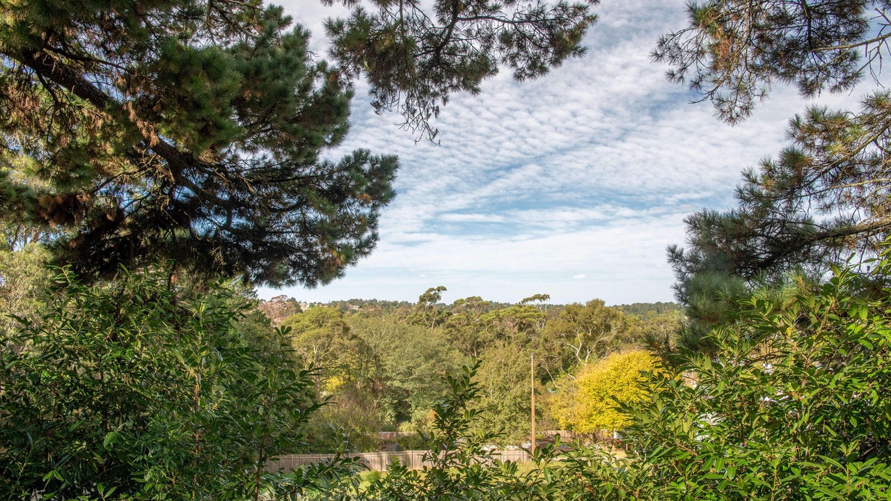 Photo of Others in Katoomba