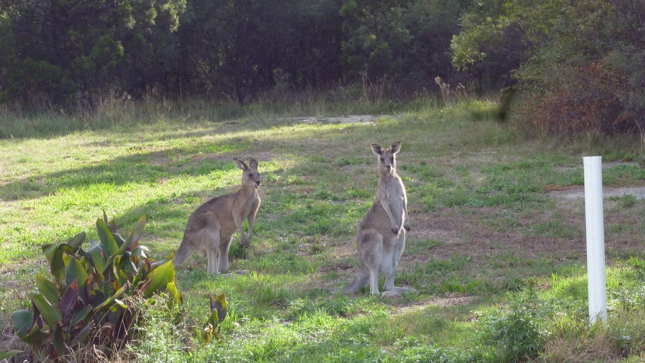 Photo of Outdoor in Stanthorpe