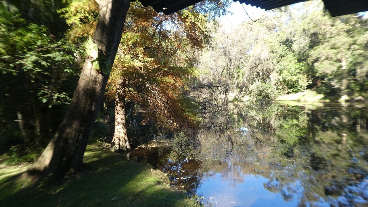 Photo of Others in Brunkerville