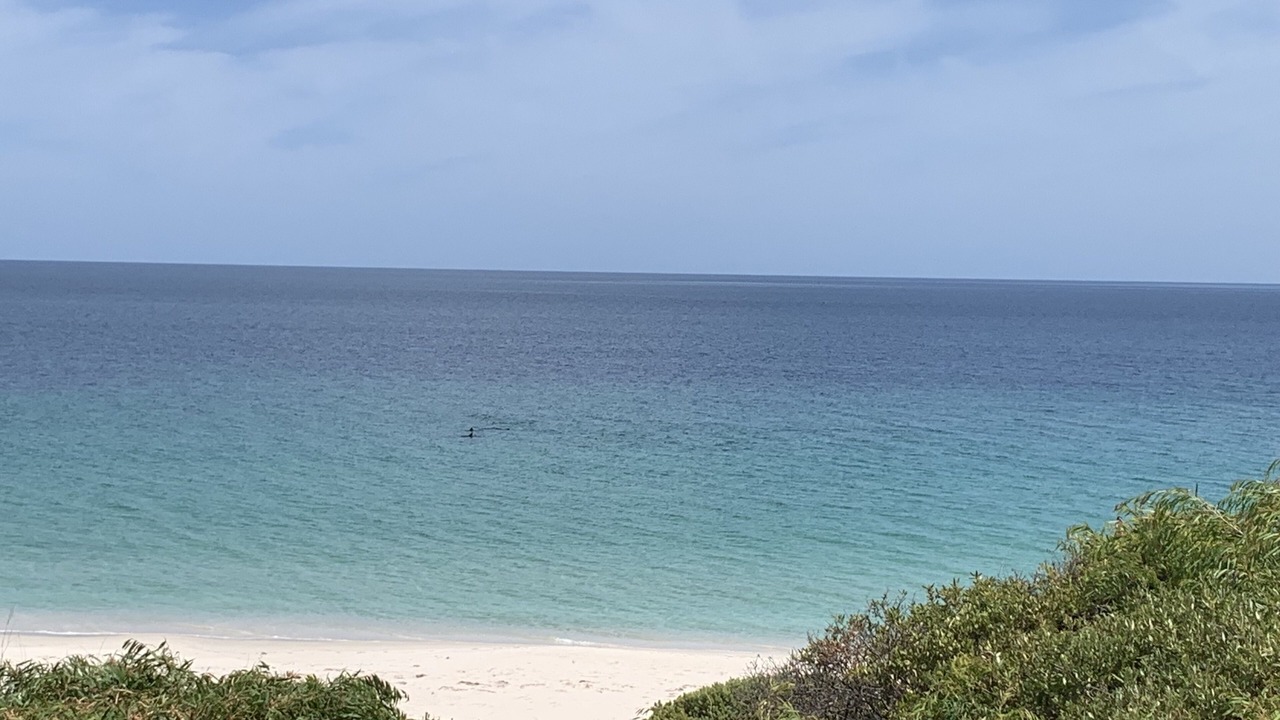 Photo of Others in Peppermint Grove Beach
