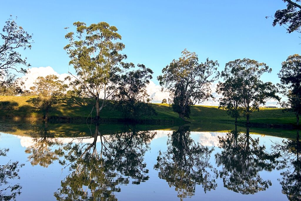 Photo of Others in Duns Creek
