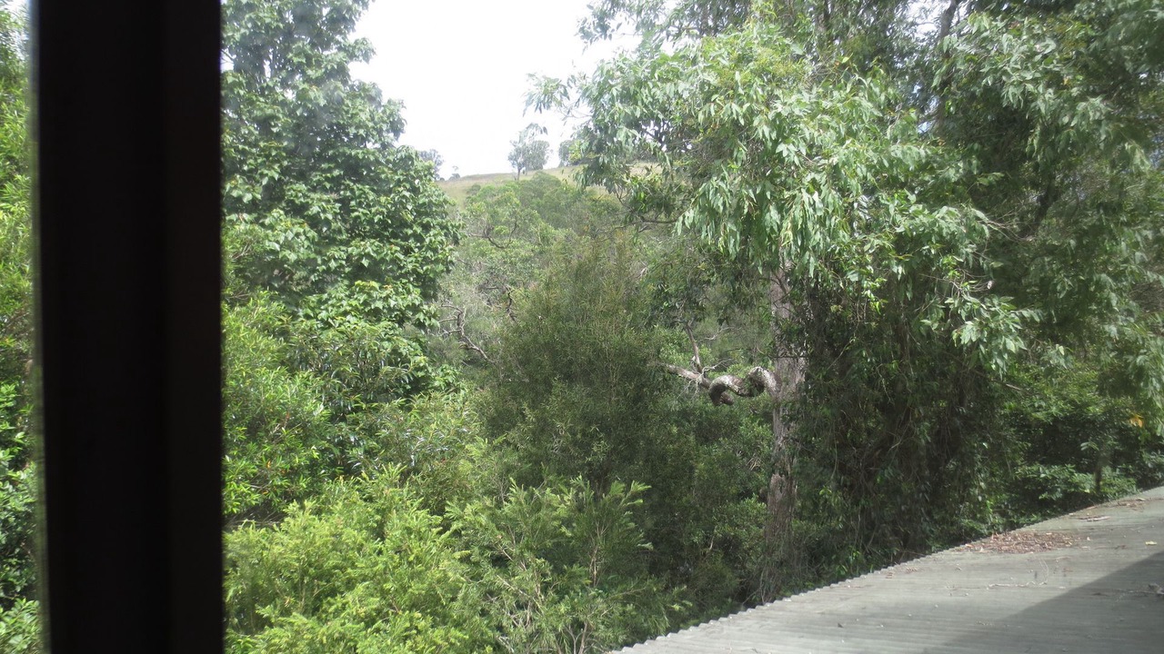 Photo of Others in Bindera