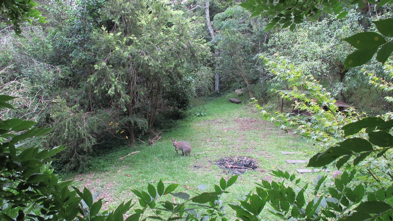 Photo of Outdoor in Bindera