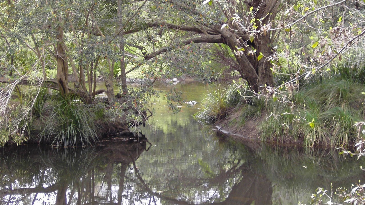 Photo of Outdoor in Bindera