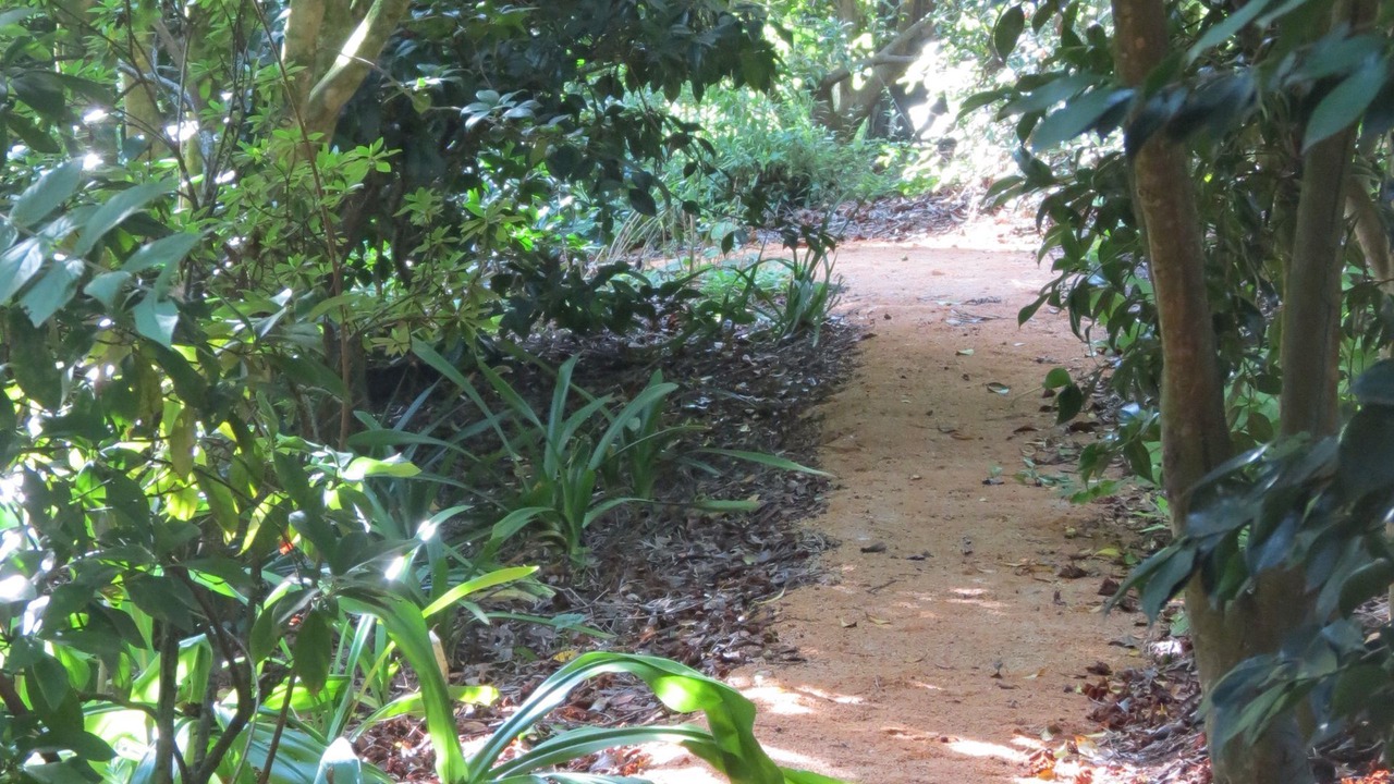 Photo of Outdoor in Allambee Reserve