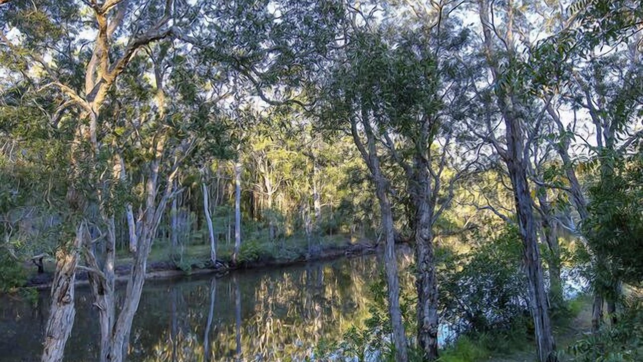 Photo of Others in Cooroibah
