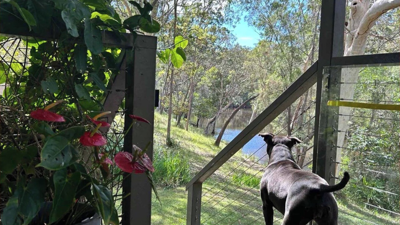 Photo of Others in Cooroibah