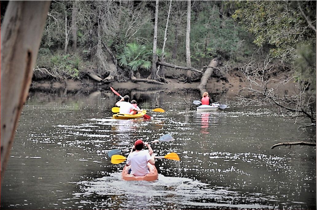 Photo of Others in Cooroibah