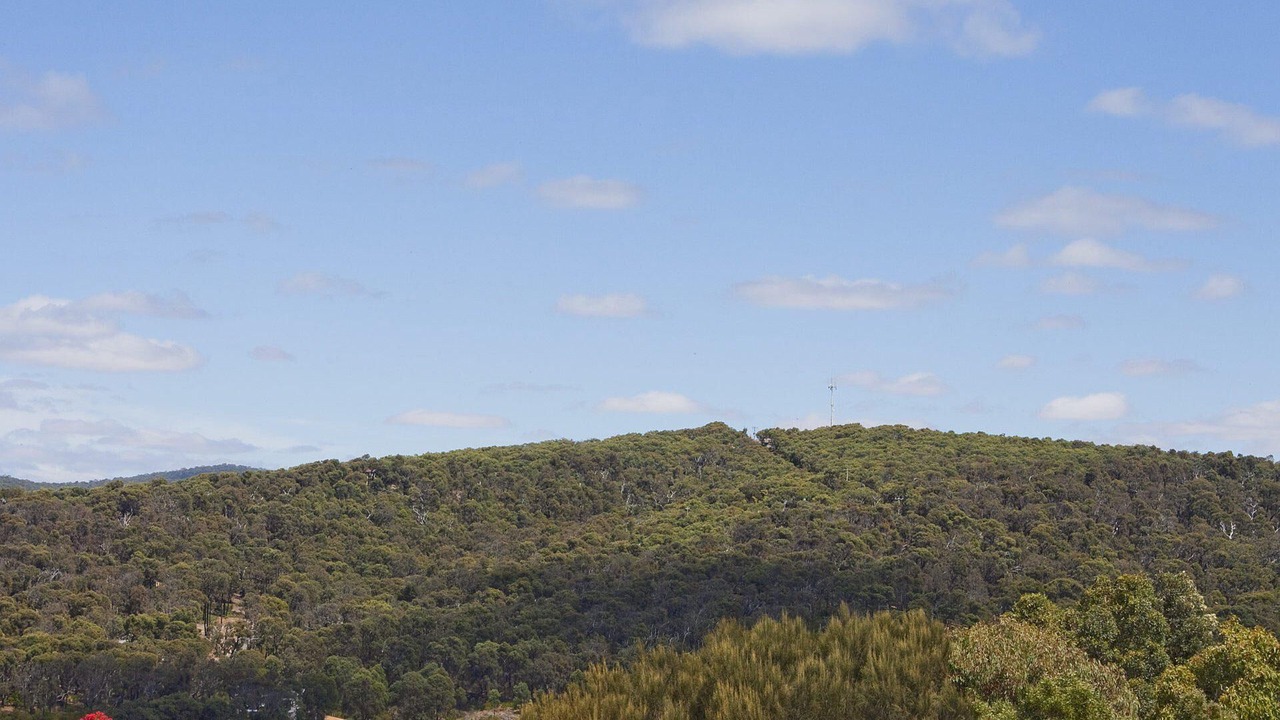 Photo of Others in Aireys Inlet