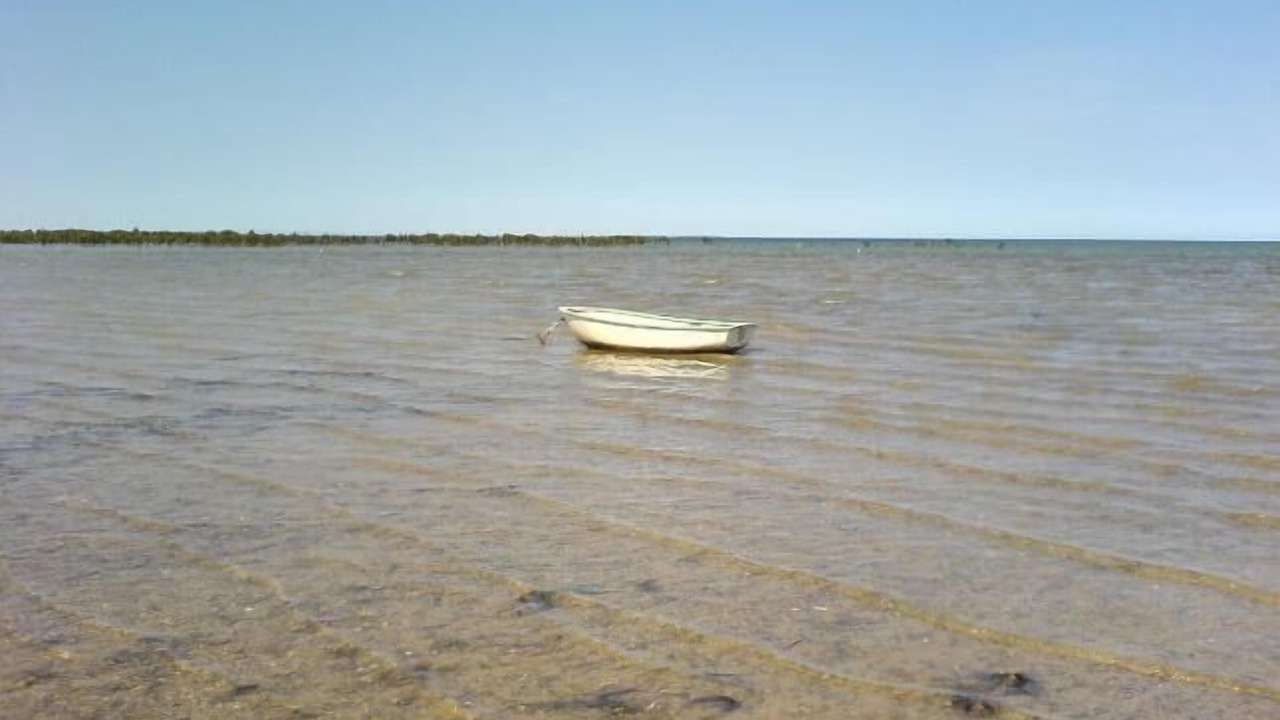 Photo of Others in Clinton