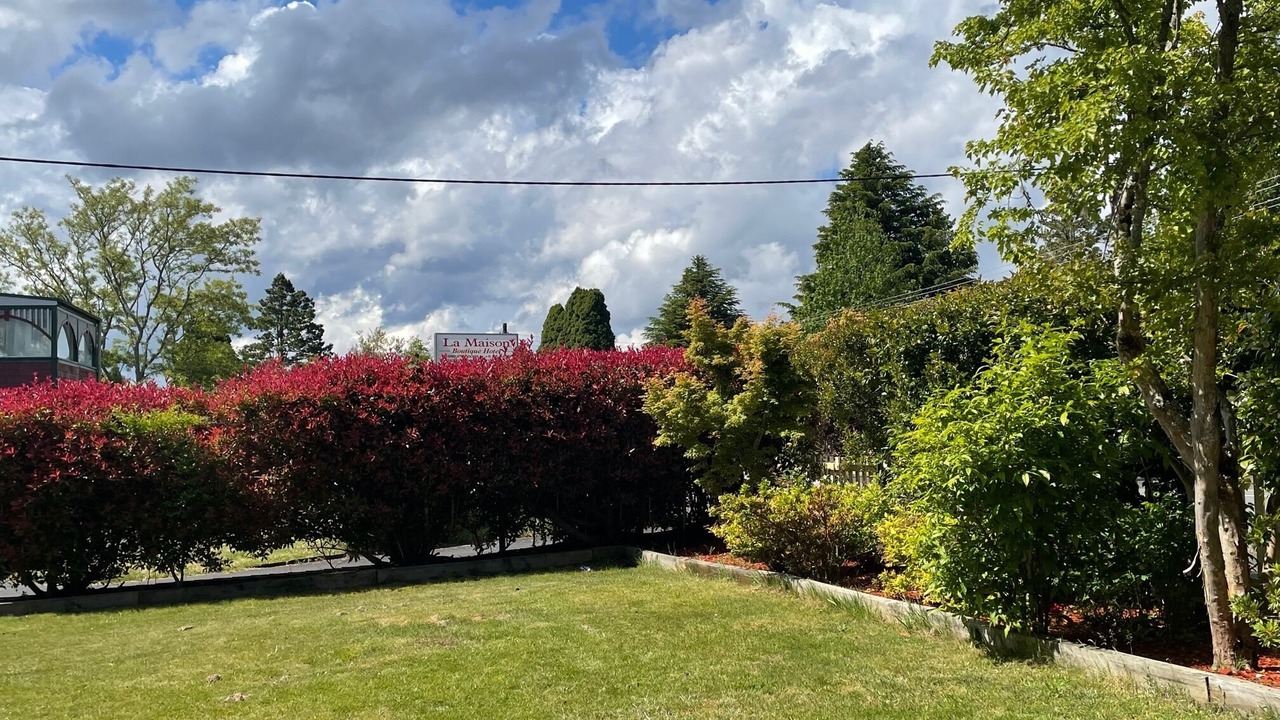Photo of Outdoor in Katoomba