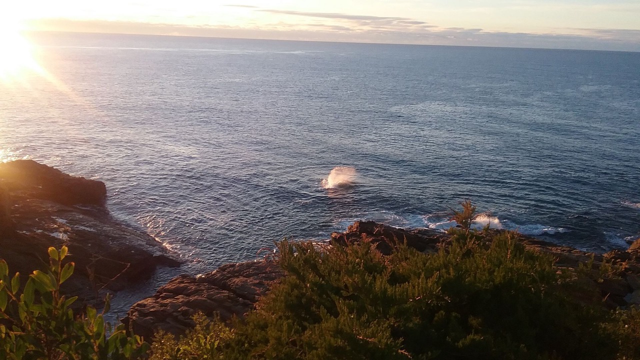 Photo of Others in Bermagui