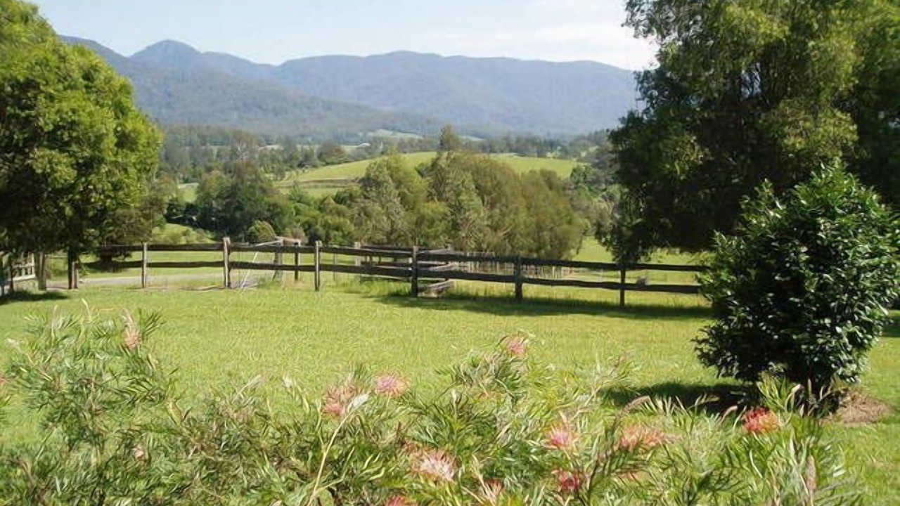 Photo of Outdoor in Bellingen