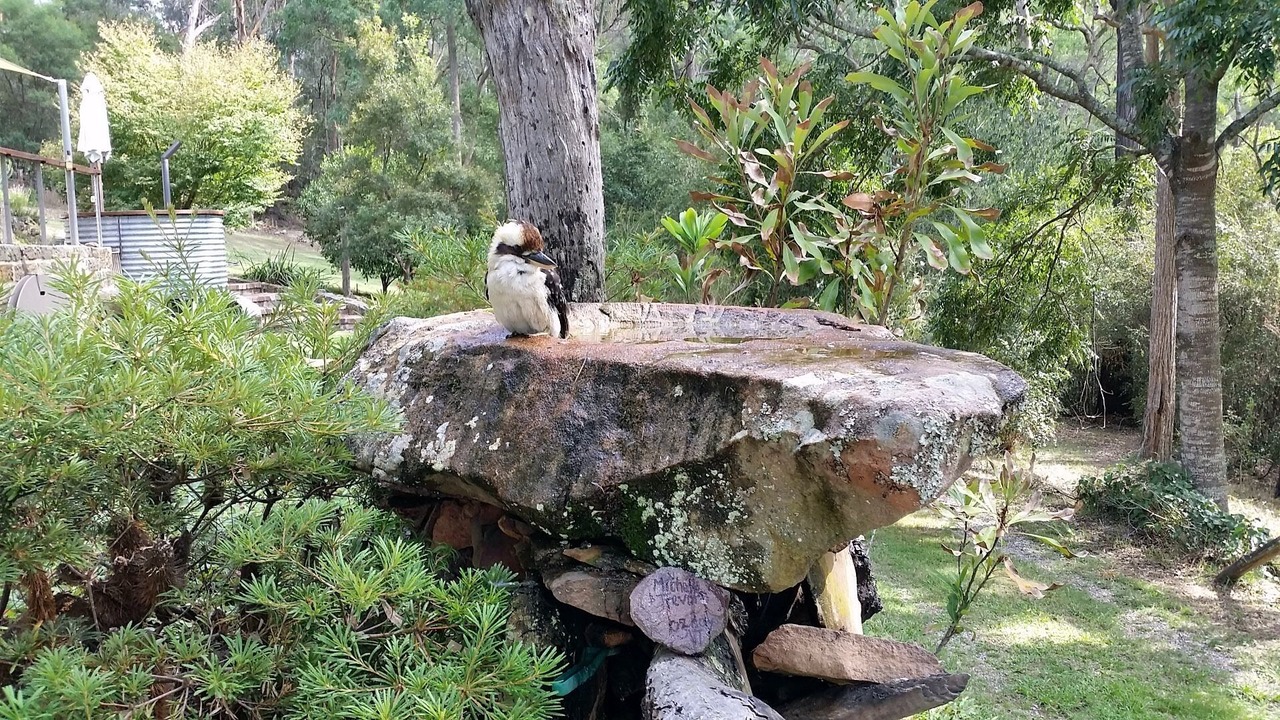 Photo of Outdoor in Cattai