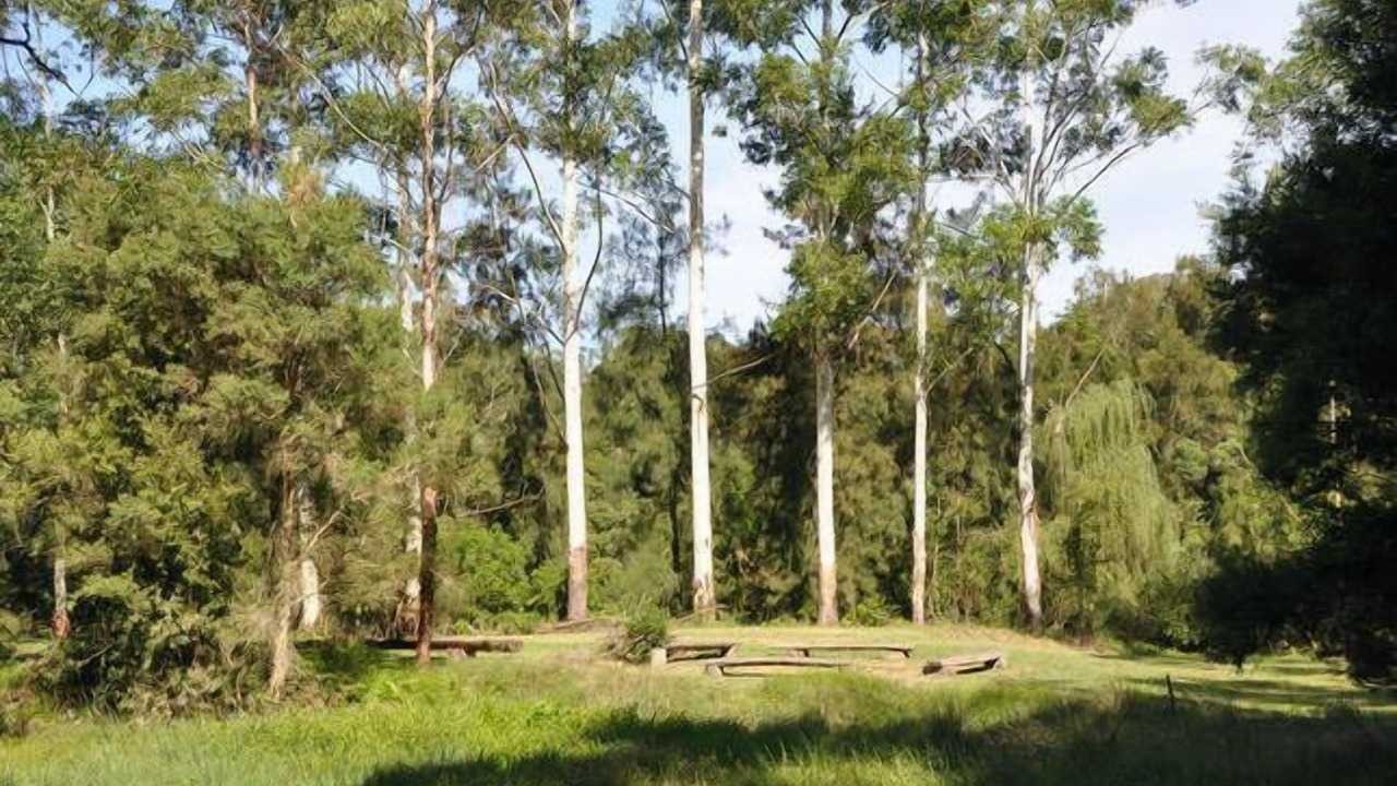 Photo of Outdoor in Cattai