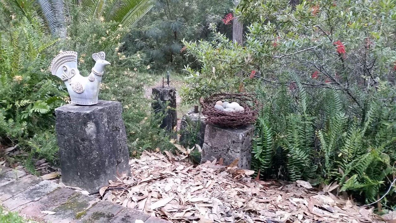 Photo of Outdoor in Cattai