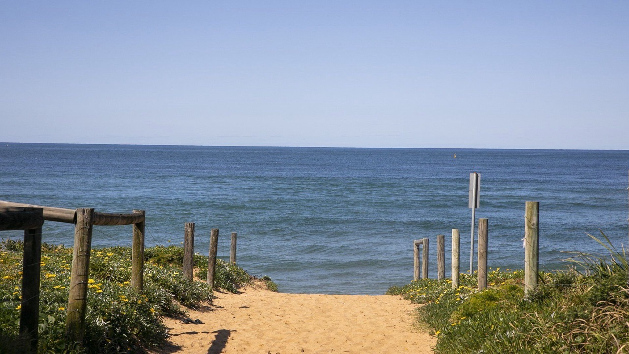 Photo of Others in North Avoca