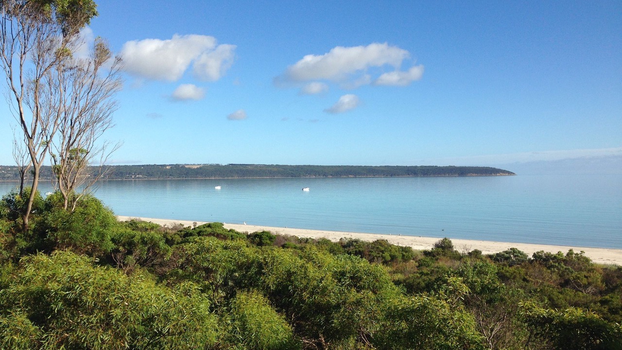 Photo of Others in Island Beach
