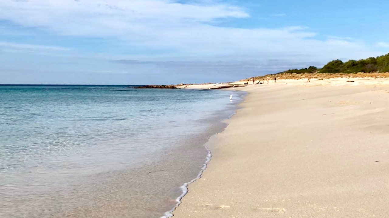 Photo of Others in Dunsborough
