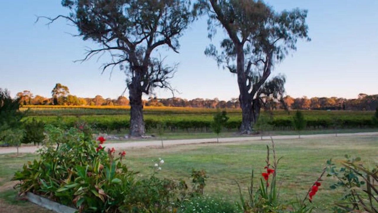 Photo of Outdoor in Williamstown