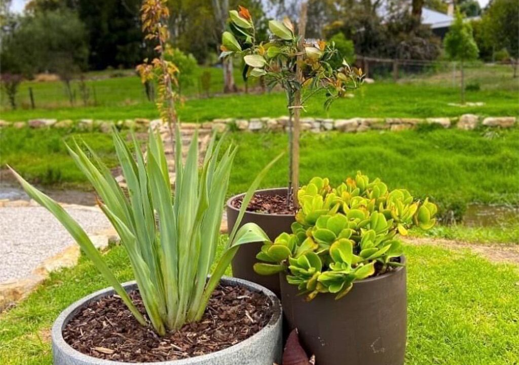 Photo of Outdoor in Sevenhill