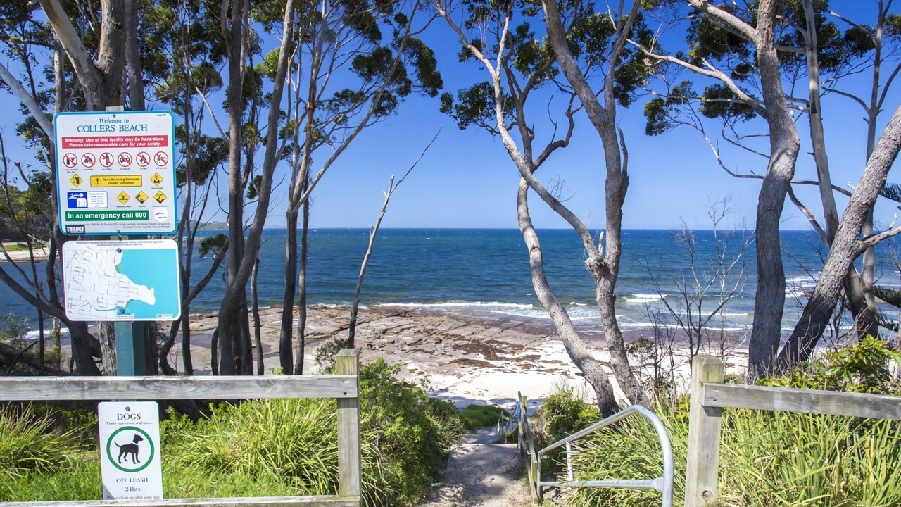 Photo of Others in Mollymook