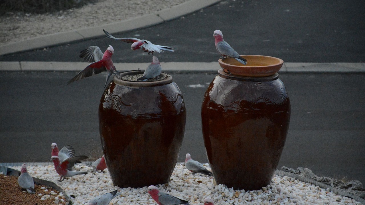 Photo of Others in Peppermint Grove Beach