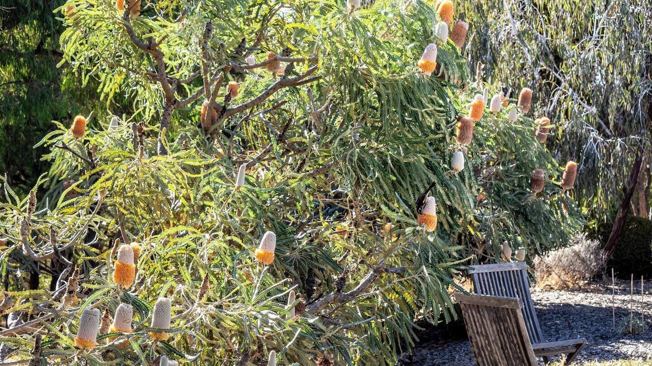 Photo of Outdoor in Yallingup