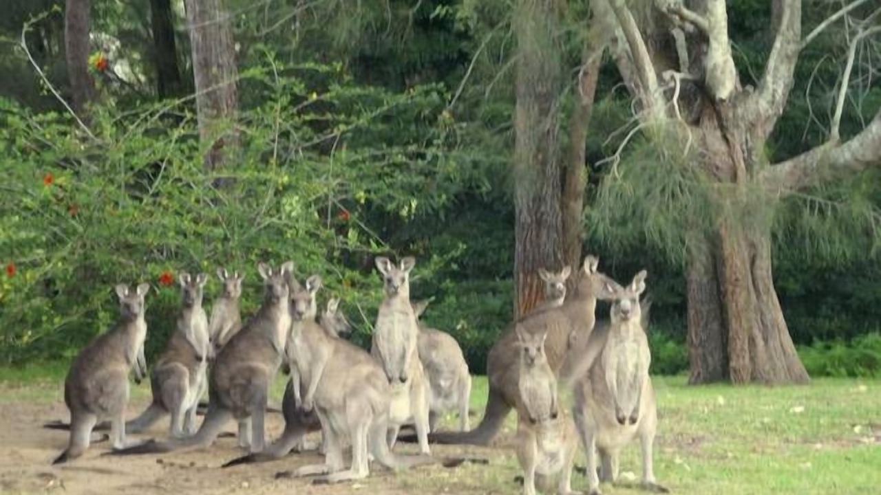 Photo of Others in Berrara