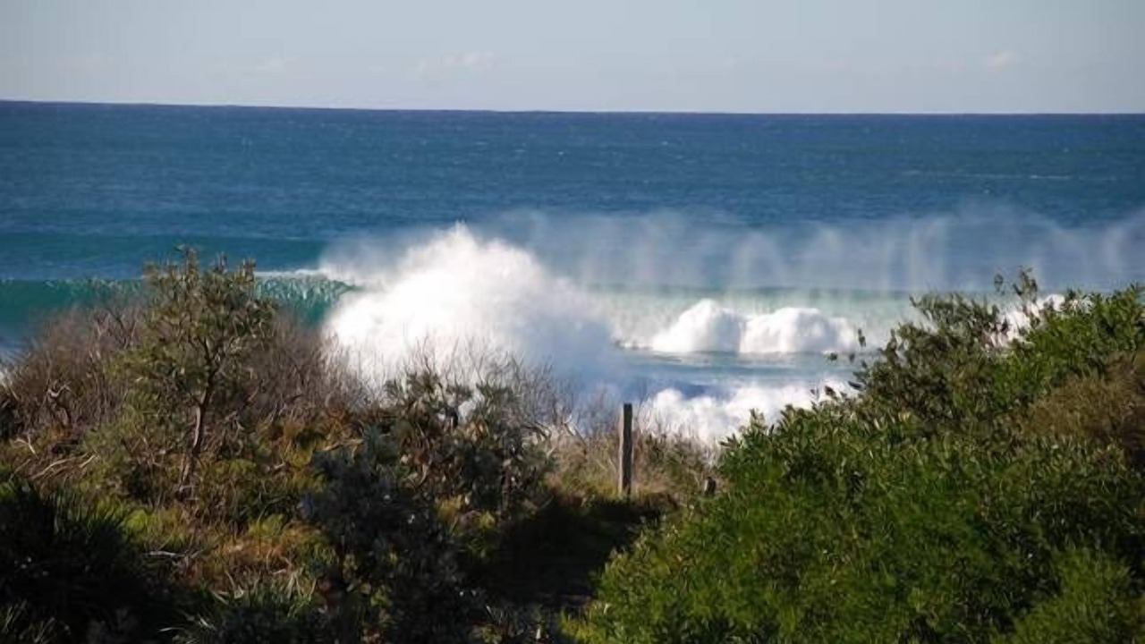 Photo of Others in Werri Beach