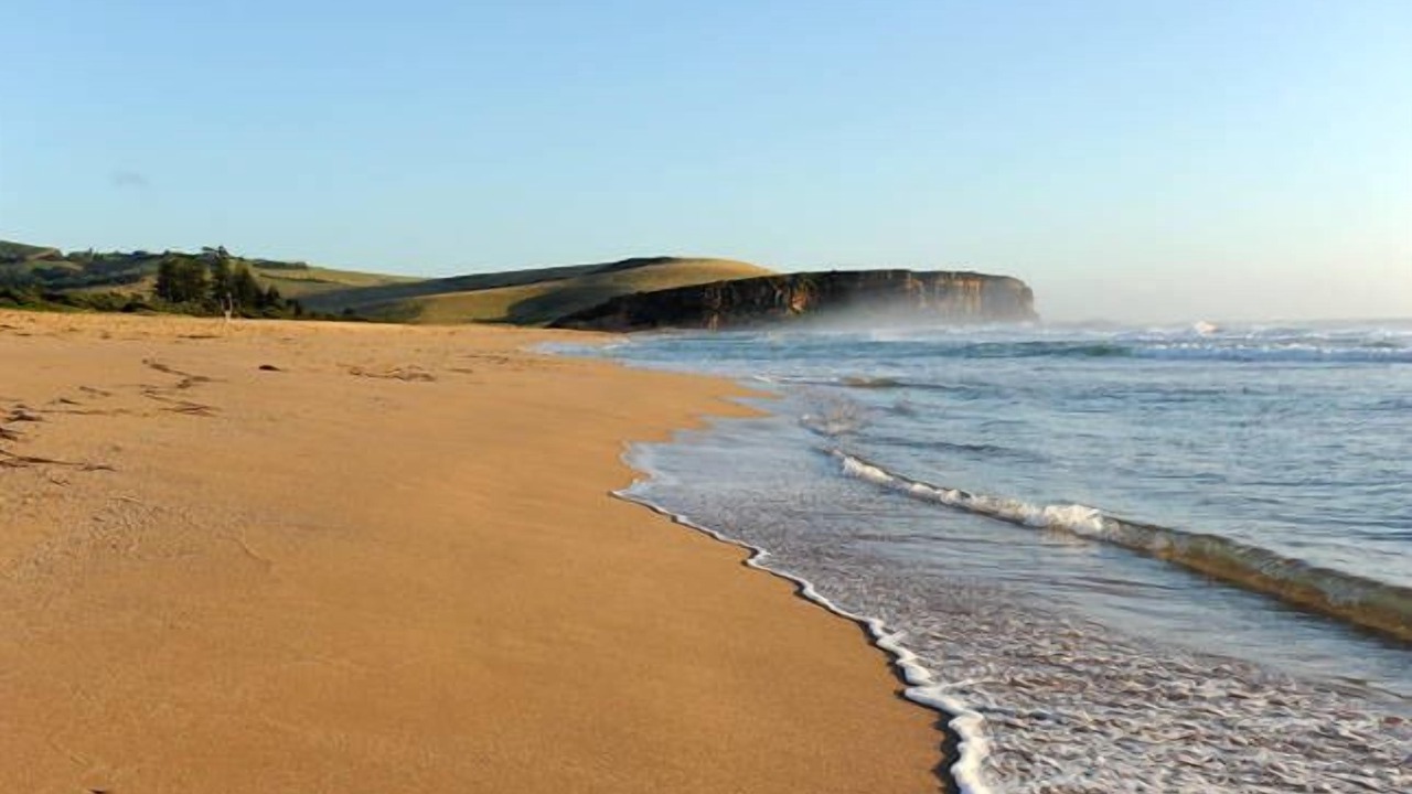 Photo of Others in Werri Beach