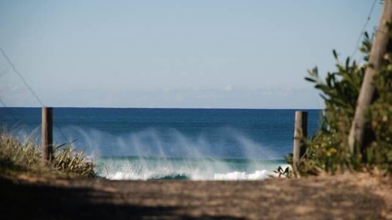 Photo of Others in Werri Beach
