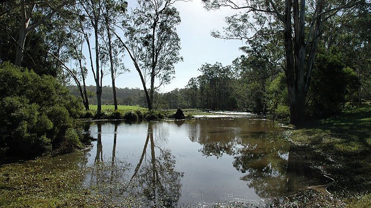 Photo of Others in Wollombi