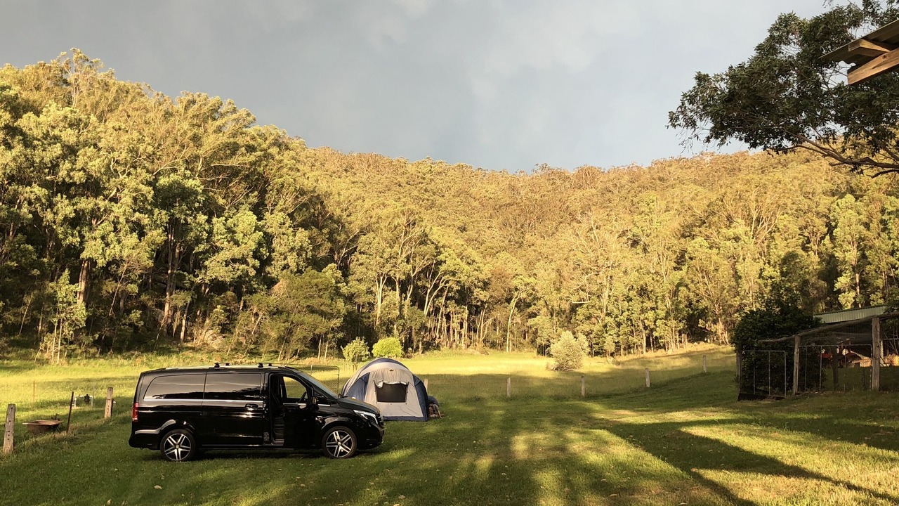 Photo of Others in Wollombi