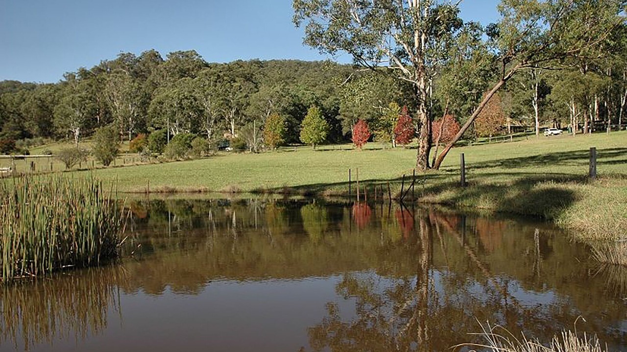 Photo of Others in Wollombi