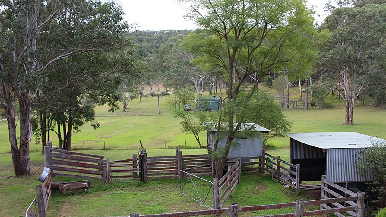 Photo of Others in Wollombi