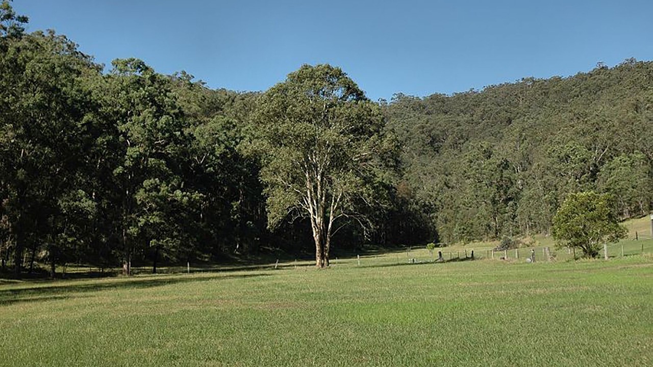 Photo of Others in Wollombi