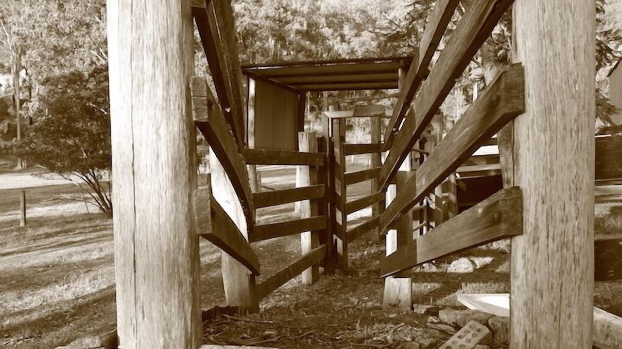Photo of Others in Wollombi