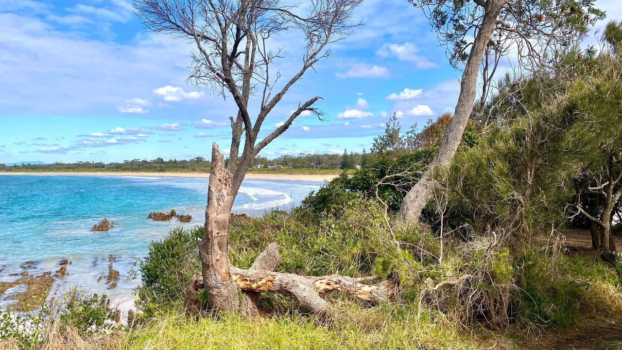 Photo of Others in Mossy Point