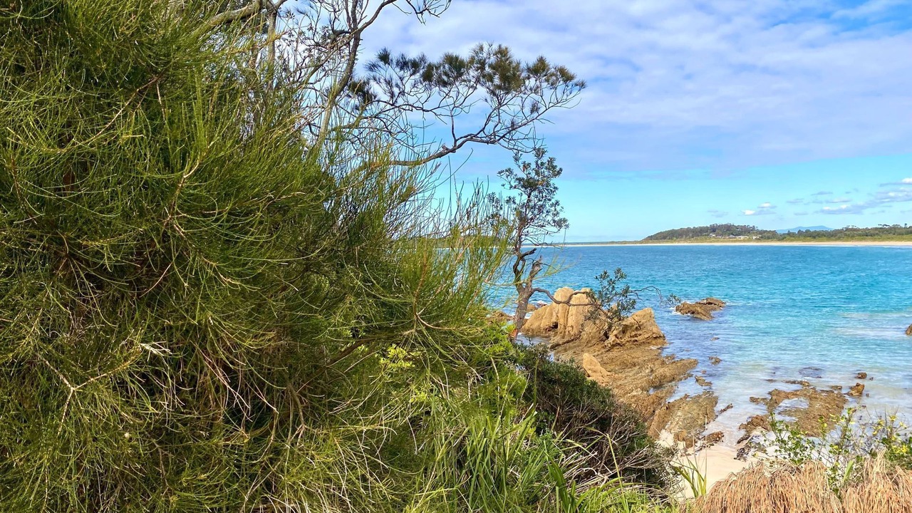 Photo of Others in Mossy Point