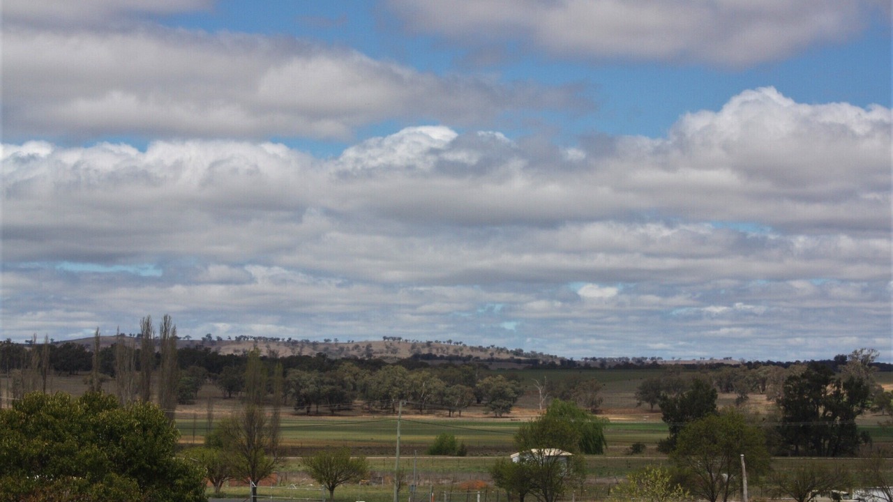 Photo of Others in Coolah