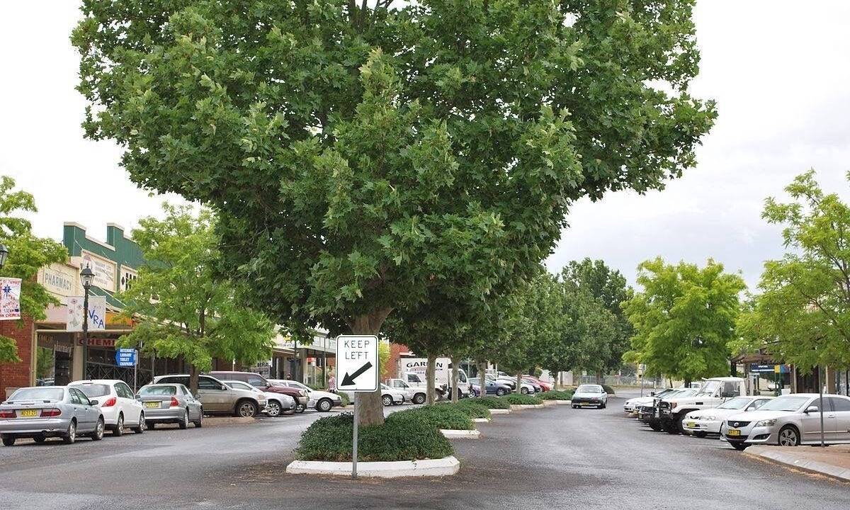 Photo of Outdoor in Coolah